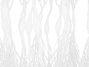 Pyramidal Neurons 3D Model