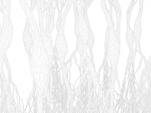 Pyramidal Neurons 3D Model