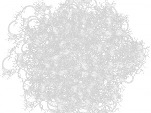 Neuron Human 3D Model