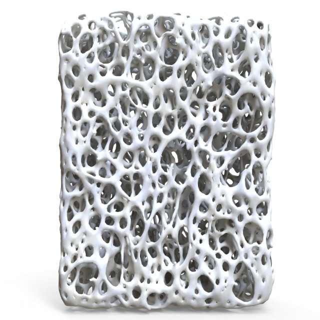 Bone Structure Sponge 3Dモデル .c4d .max .obj .3ds .fbx .stl .blend 