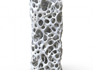 Bone Structure Sponge 3Dモデル
