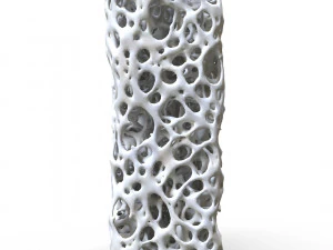 अस्थि संरचना स्पंज 3D मॉडल