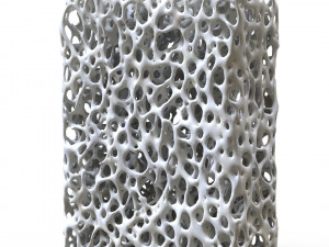 Bone Structure Sponge 3Dモデル