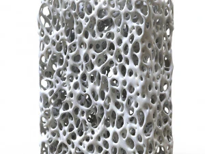 अस्थि संरचना स्पंज 3D मॉडल