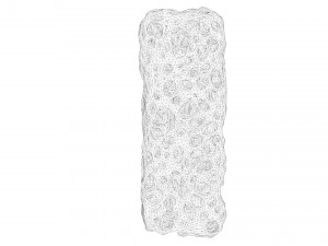 Bone Structure Sponge 3Dモデル