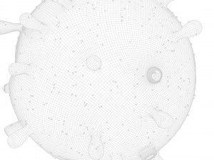 Animal Cell 3D Model