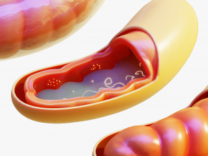 Mitochondria Cell 3D Model