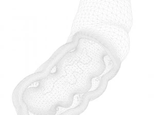 C&eacute;lula mitocondria Modelo 3D