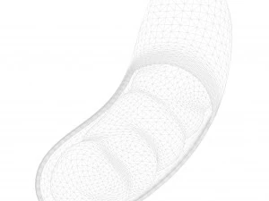 C&eacute;lula mitocondria Modelo 3D