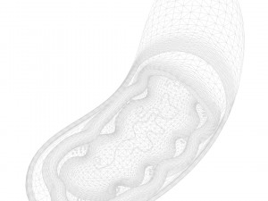 Mitochondria Cell 3D मॉडल