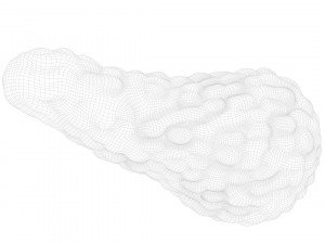 Human Pancreas Anatomy 3D मॉडल