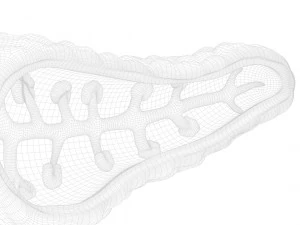 Human Pancreas Anatomy 3D Model