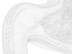 Human Stomach Cross Section 3D Model