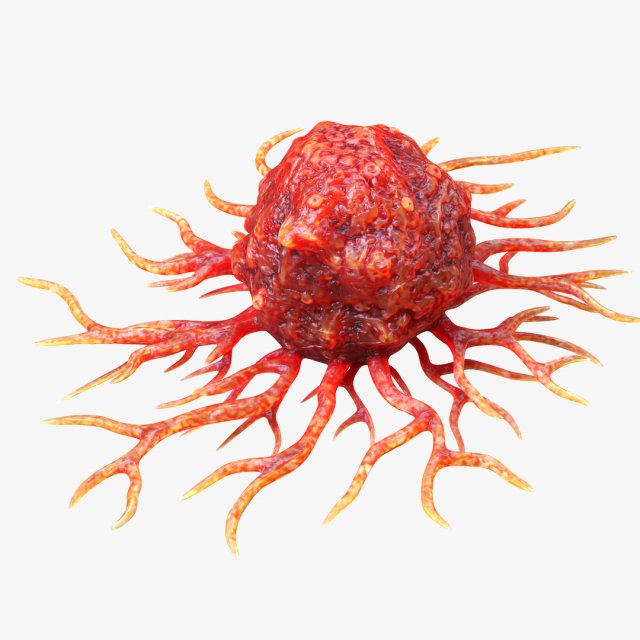 Cancer Cell Model 3D .c4d .max .obj .3ds .fbx .stl .blend 