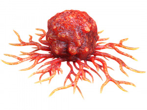Cancer Cell Model 3D