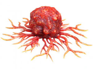 がん細胞 3Dモデル