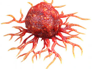 がん細胞 3Dモデル