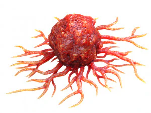 がん細胞 3Dモデル