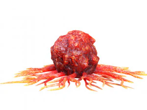 がん細胞 3Dモデル