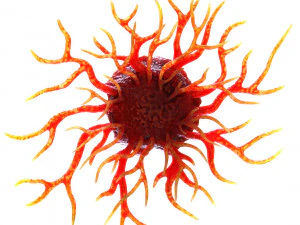 がん細胞 3Dモデル