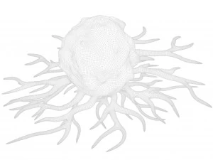 がん細胞 3Dモデル