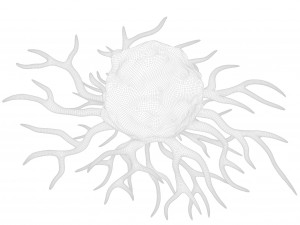 Cancer Cell Model 3D