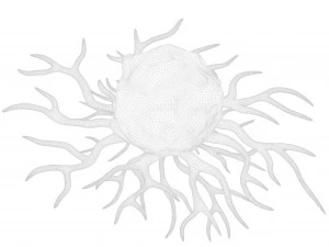 がん細胞 3Dモデル