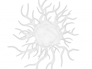 がん細胞 3Dモデル