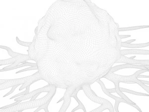 がん細胞 3Dモデル