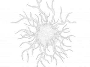 Cancer Cell Model 3D