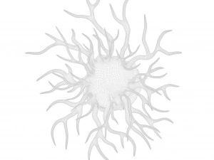 がん細胞 3Dモデル