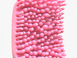 Intestinal Villi 3D Modell