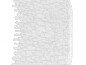 Intestinal Villi 3D Modell