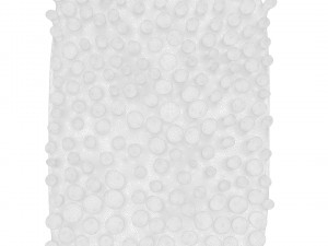 Intestinal Villi 3D Modell