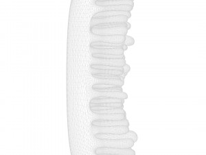 Intestinal Villi 3D Modell