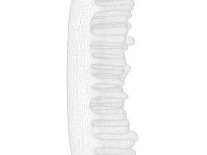 Intestinal Villi 3D Model