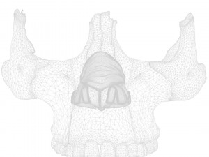 Nasal Human Anatomy Structure Modello 3D