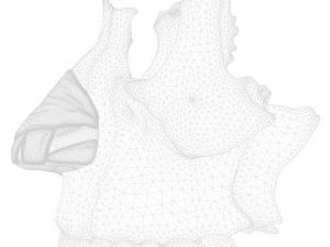 Nasal Human Anatomy Structure 3D Model