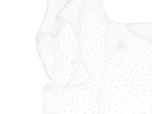 Nasal Human Anatomy Structure Modello 3D