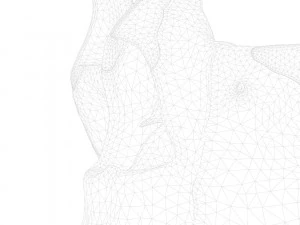Nasal Human Anatomy Structure 3D Model