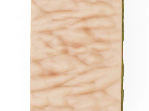 Secci&oacute;n transversal de la piel Modelo 3D