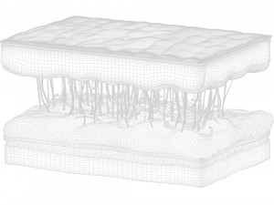 Skin Cross Section 3D Model