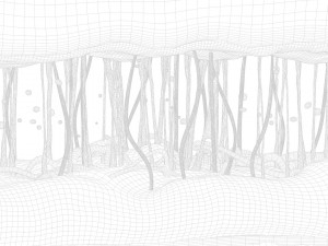Skin Cross Section 3D Model