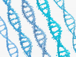 Molecola genetica del DNA Modello 3D