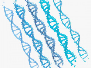 DNA Genetic Molecule 3D 模型