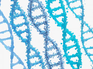 DNA Genetic Molecule 3D Model