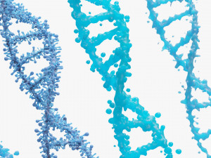 DNA Genetic Molecule 3D 模型