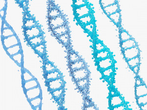 DNA Genetic Molecule 3D 模型