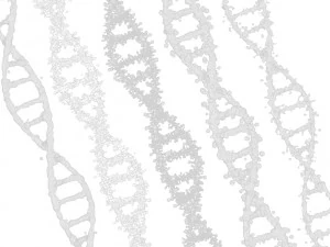 DNA Genetic Molecule 3D Model