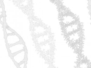 DNA Genetic Molecule 3D 模型